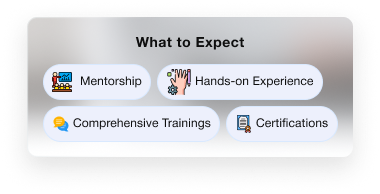 internship right section